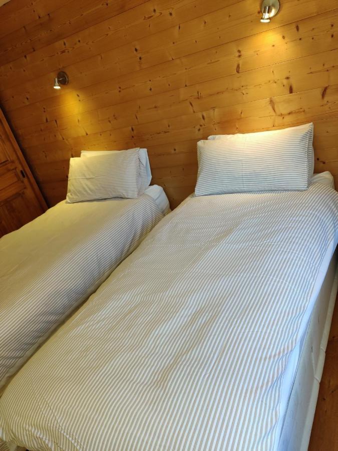 Spacious Ski Chalet In Traditional French Village, Sleeps 8, Four Star With Fibre Broadband Abondance Ngoại thất bức ảnh